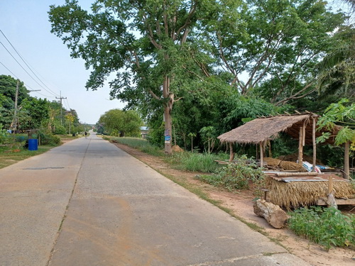 ขายที่ดินเปล่า เนื้อที่ 2 ไร่ ทำเลดี ต.หนองบัวบาน อ.หนองวัวซอ จ.อุดรธานี