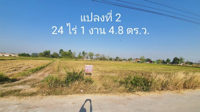 ขายด่วนที่ดิน 24 ไร่ 1 งาน 4.8 ตารางวา ตำบลหนองหงส์ อำเภอพานทอง จังหวัดชลบุรี